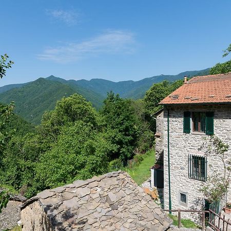 La Casa Nel Bosco-Senza Auto Casa de hóspedes Ponte della Venturina Exterior foto