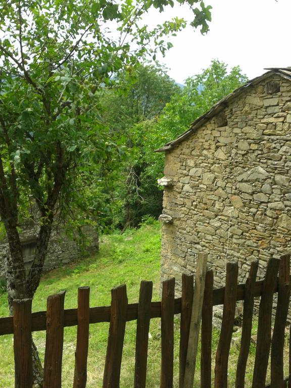 La Casa Nel Bosco-Senza Auto Casa de hóspedes Ponte della Venturina Quarto foto
