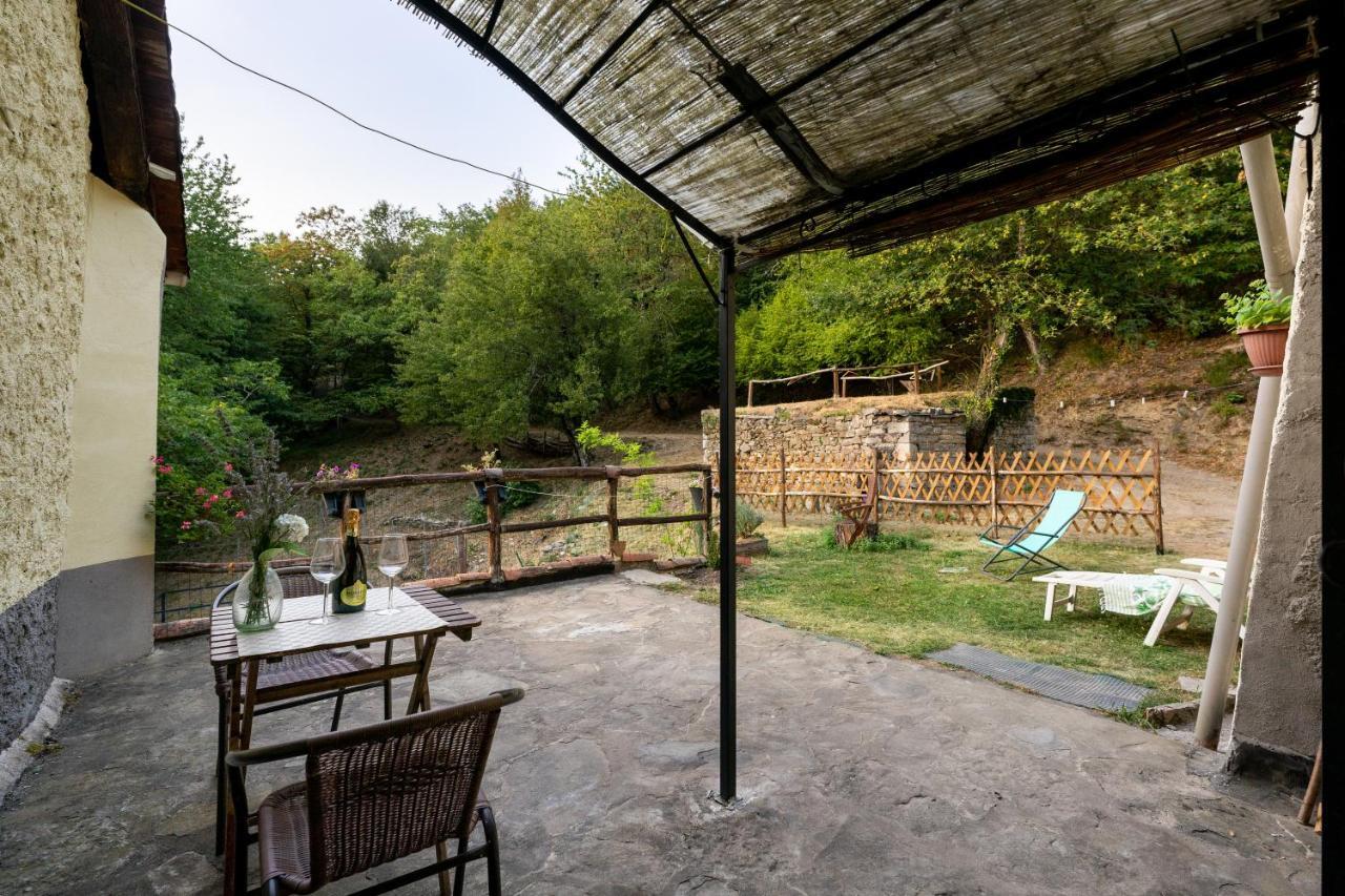 La Casa Nel Bosco-Senza Auto Casa de hóspedes Ponte della Venturina Exterior foto