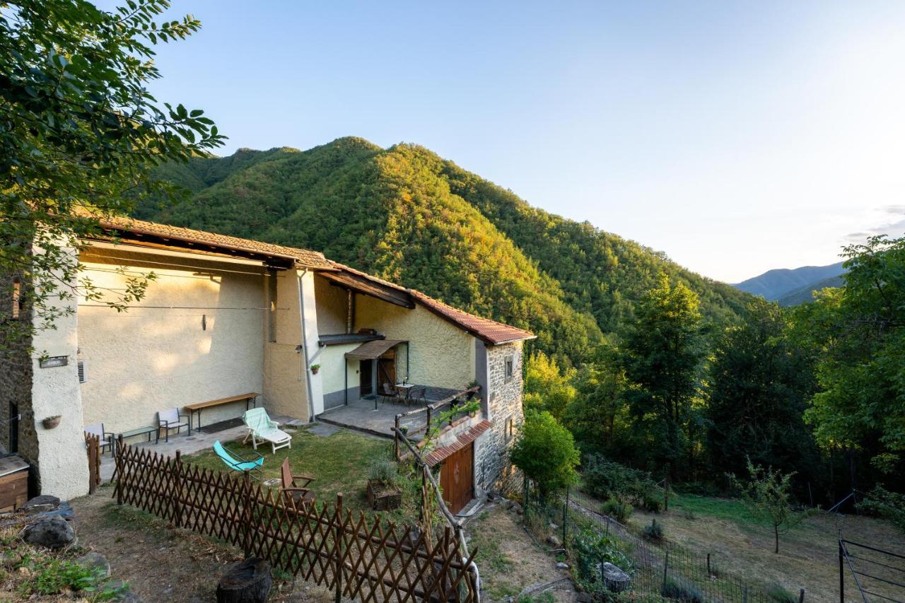 La Casa Nel Bosco-Senza Auto Casa de hóspedes Ponte della Venturina Exterior foto