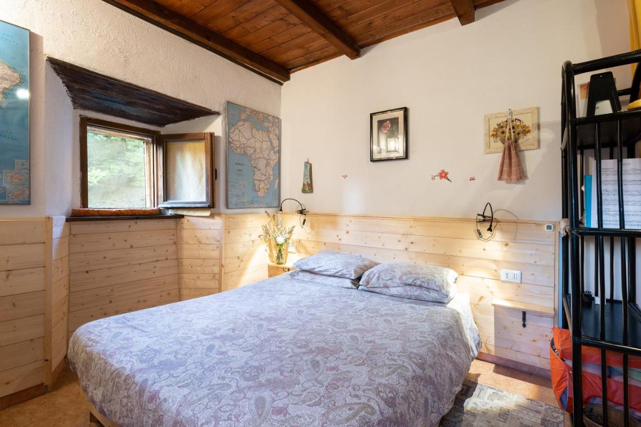 La Casa Nel Bosco-Senza Auto Casa de hóspedes Ponte della Venturina Exterior foto