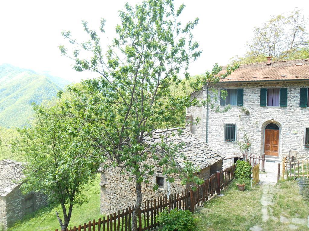 La Casa Nel Bosco-Senza Auto Casa de hóspedes Ponte della Venturina Quarto foto