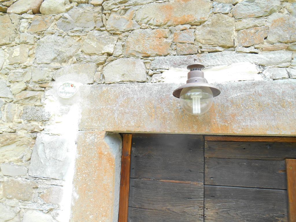 La Casa Nel Bosco-Senza Auto Casa de hóspedes Ponte della Venturina Quarto foto