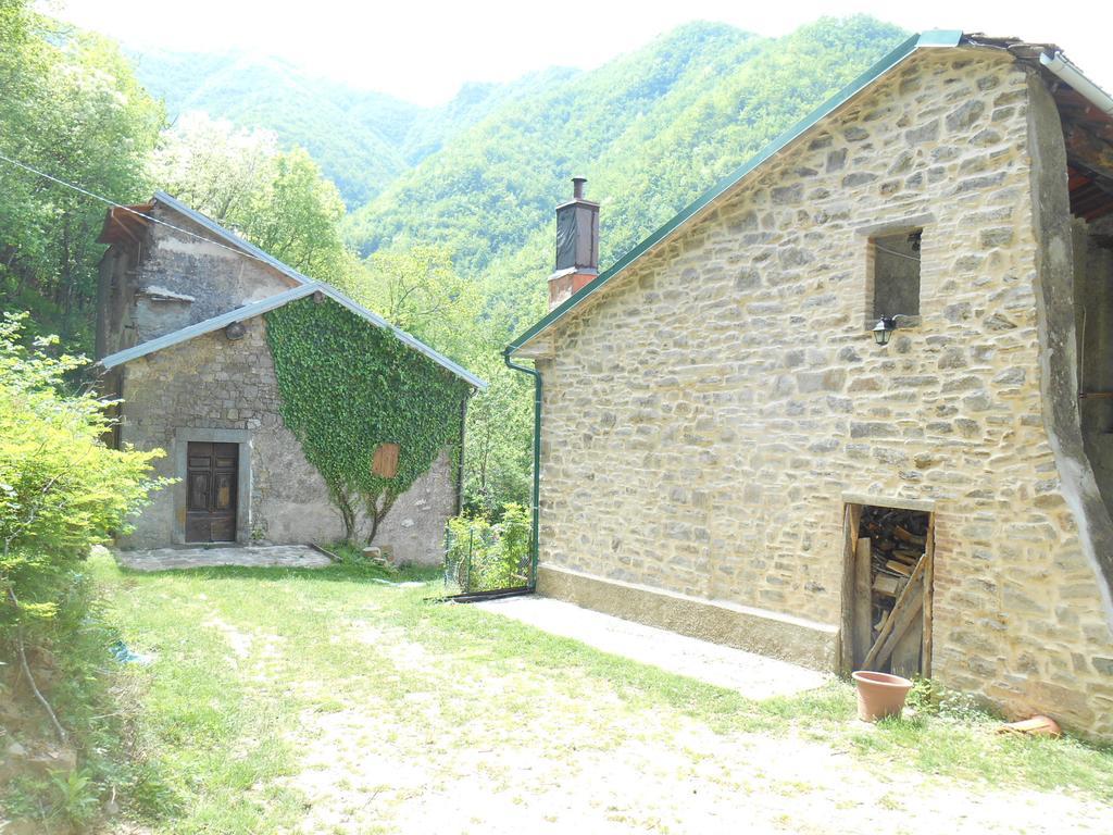 La Casa Nel Bosco-Senza Auto Casa de hóspedes Ponte della Venturina Quarto foto