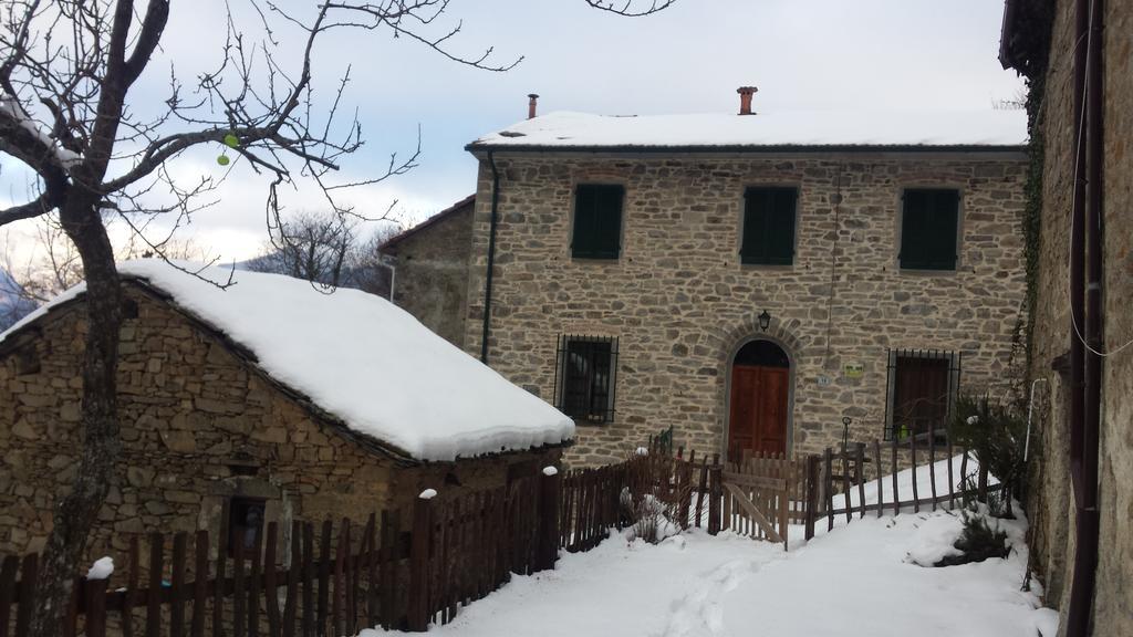 La Casa Nel Bosco-Senza Auto Casa de hóspedes Ponte della Venturina Exterior foto
