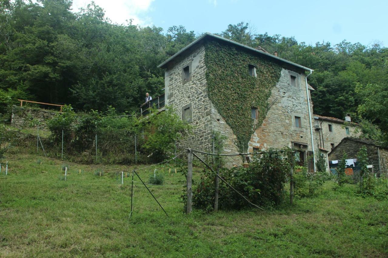 La Casa Nel Bosco-Senza Auto Casa de hóspedes Ponte della Venturina Exterior foto