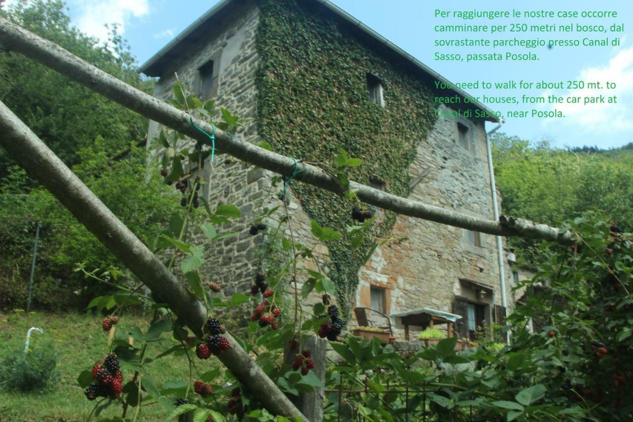 La Casa Nel Bosco-Senza Auto Casa de hóspedes Ponte della Venturina Exterior foto