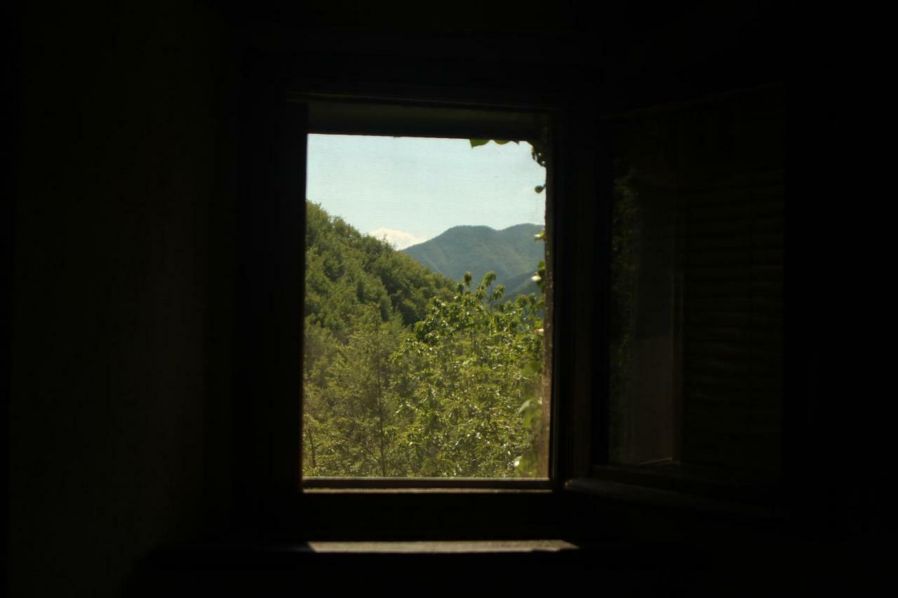 La Casa Nel Bosco-Senza Auto Casa de hóspedes Ponte della Venturina Exterior foto